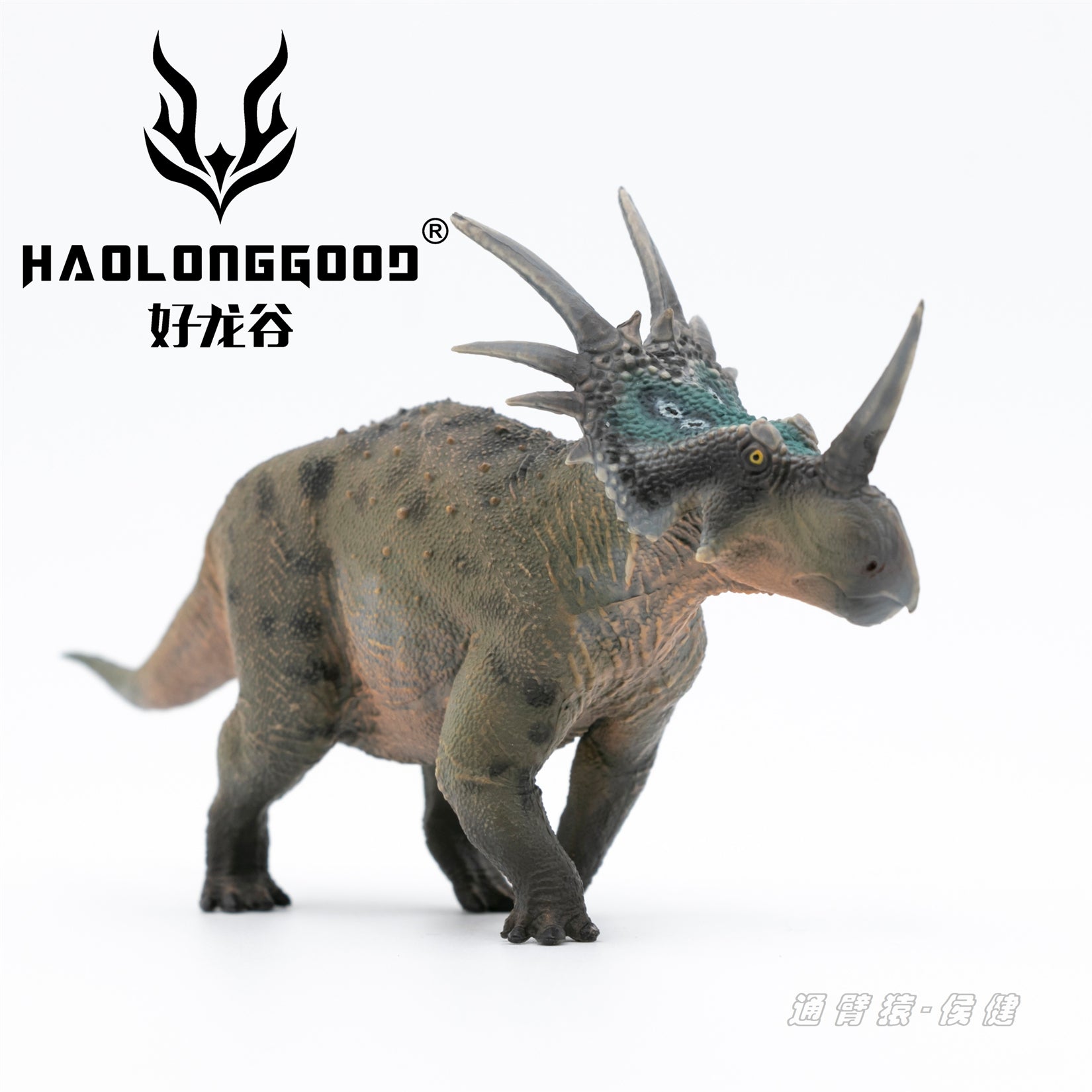 HAOLONGGOOD 1:35 Scale Styracosaurus Model