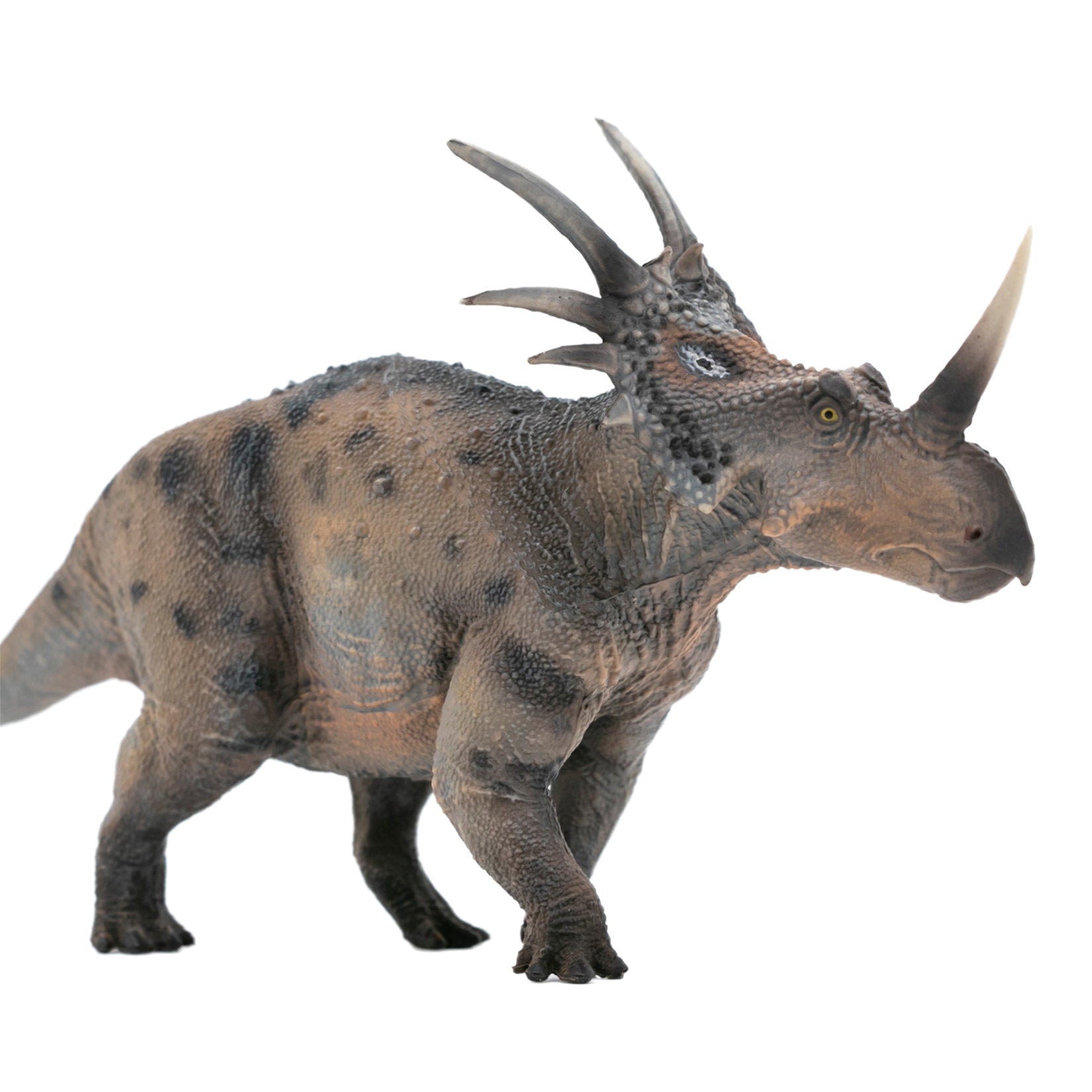 HAOLONGGOOD 1:35 Scale Styracosaurus Model