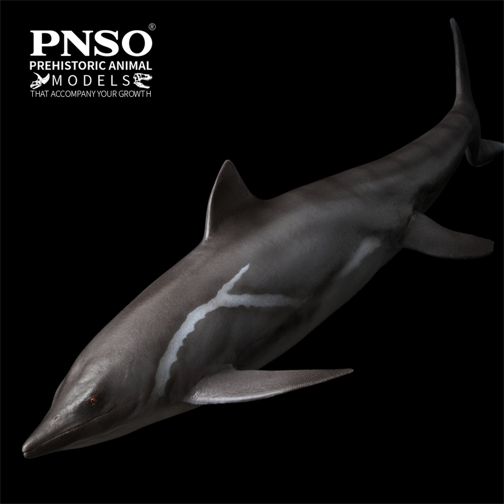 PNSO 92 Yuanlin Guanlingsaurus Model