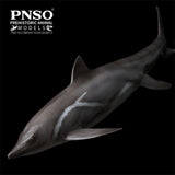 PNSO 92 Yuanlin Guanlingsaurus Model
