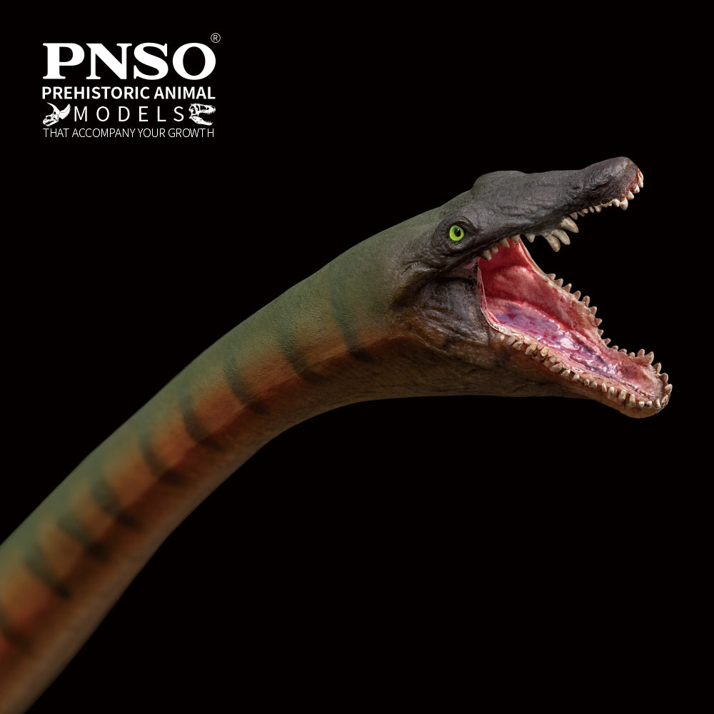 PNSO 91 Xiaochong Dinocephalosaurus Model