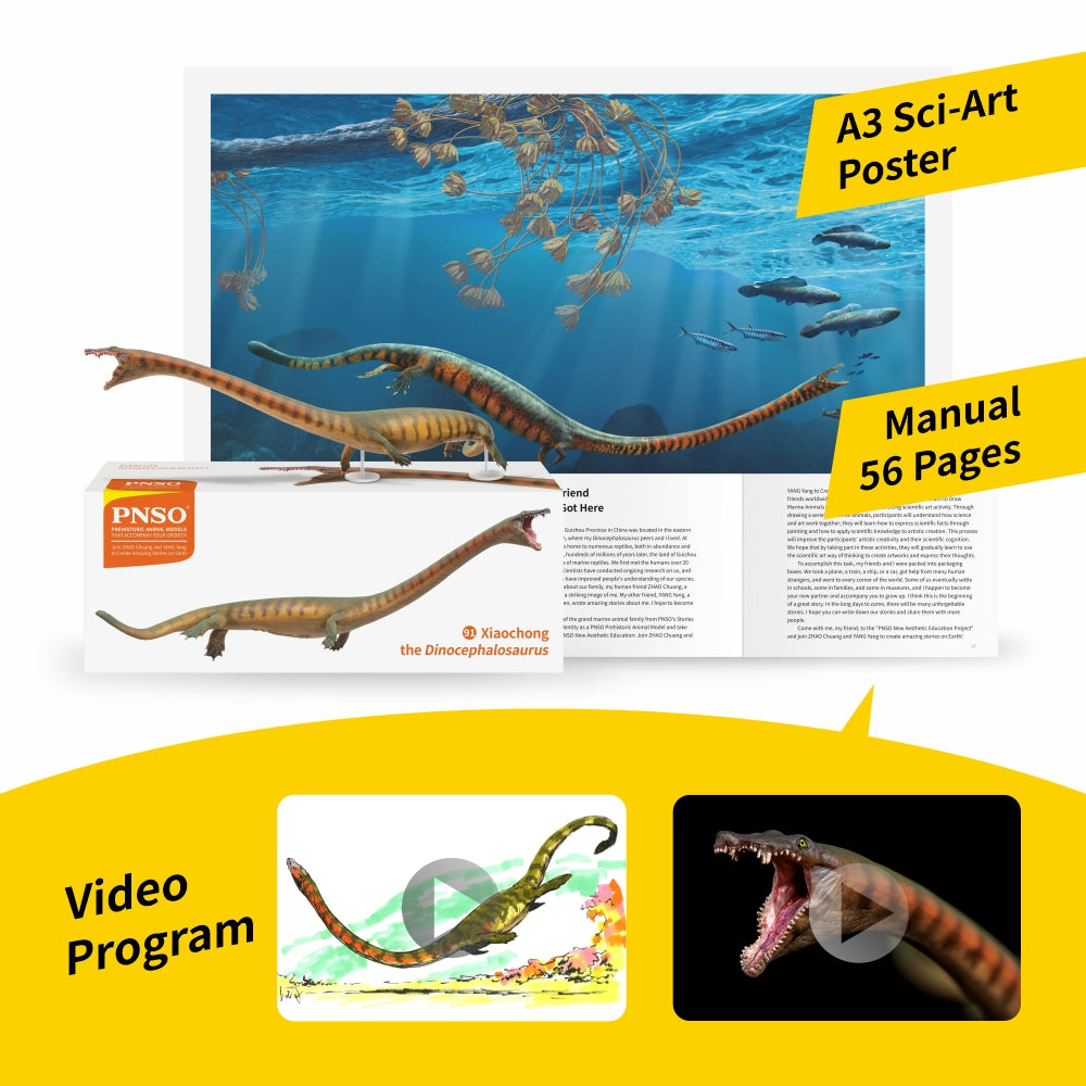 PNSO 91 Xiaochong Dinocephalosaurus Model