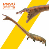 PNSO 91 Xiaochong Dinocephalosaurus Model