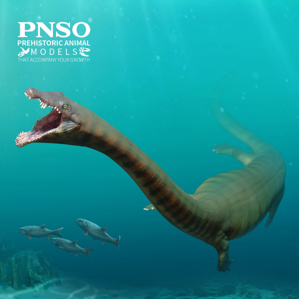 PNSO 91 Xiaochong Dinocephalosaurus Model