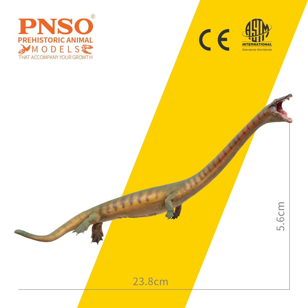 PNSO 91 Xiaochong Dinocephalosaurus Model