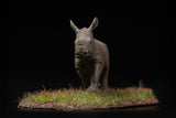 De CLAY Studio White rhinoceros Model