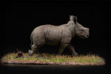 De CLAY Studio White rhinoceros Model