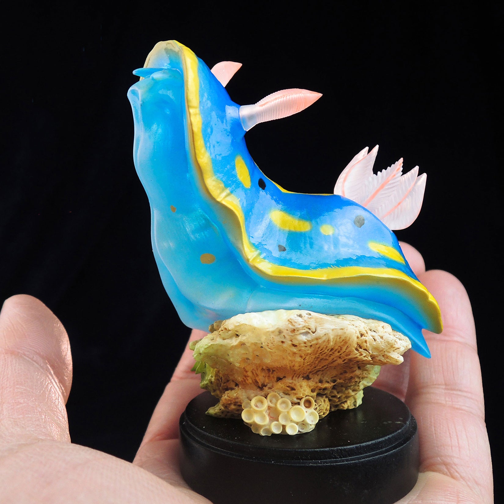 Sea Sprite 03 Series Model