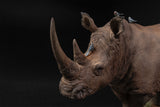 De CLAY Studio White rhinoceros Model
