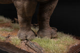 De CLAY Studio White rhinoceros Model
