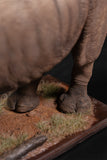 De CLAY Studio White rhinoceros Model