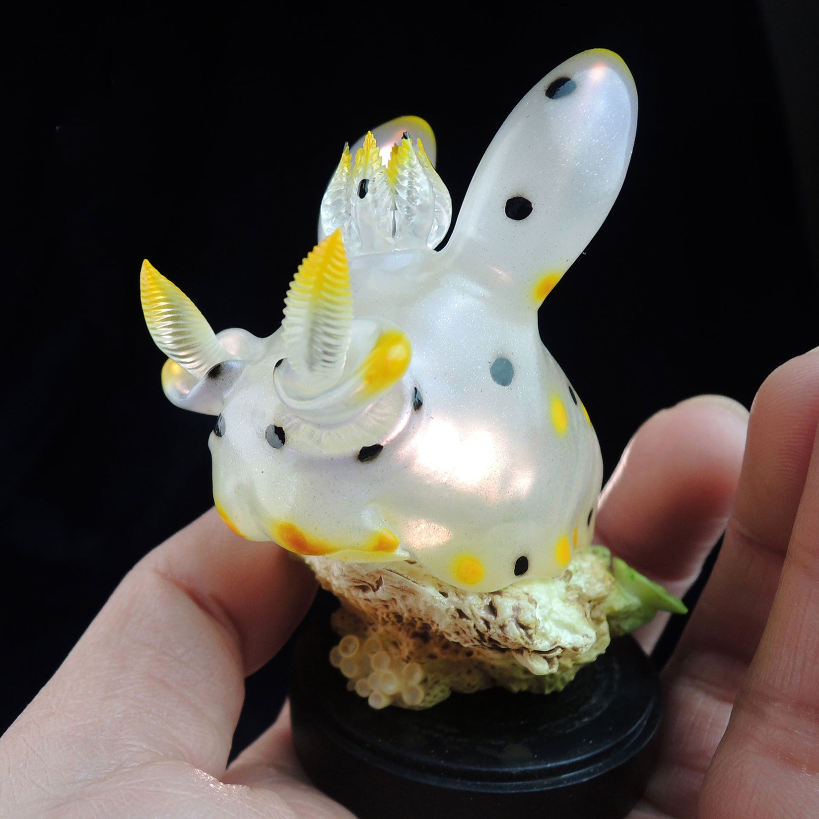 Sea Sprite 03 Series Model