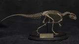 1/20 Yangchuanosaurus Skeleton Model