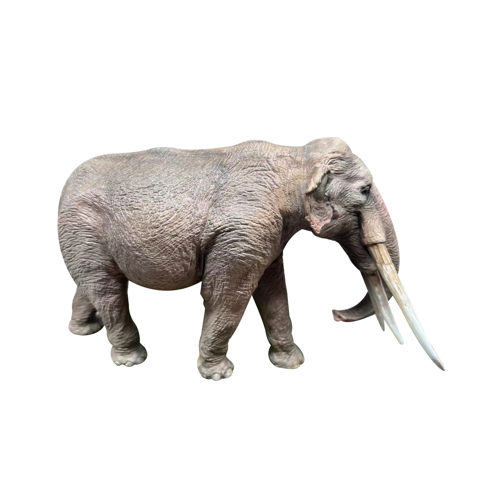 Alex Studio 1/35 Scale Stegotetrabelodon Model