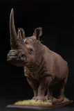 De CLAY Studio White rhinoceros Model
