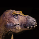 PNSO 18 Cameron The Tyrannosaurus Rex 1:35 Scale Scietific Art Model