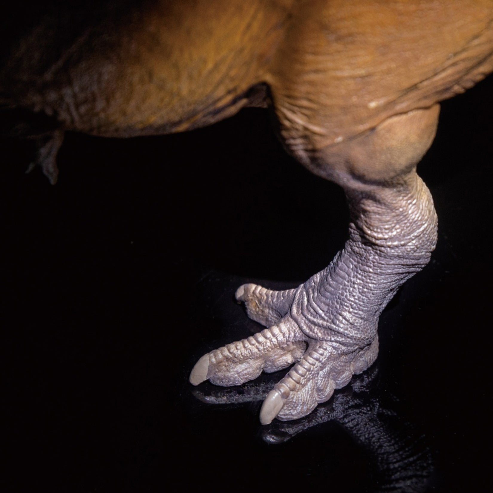 PNSO 18 Cameron The Tyrannosaurus Rex 1:35 Scale Scietific Art Model