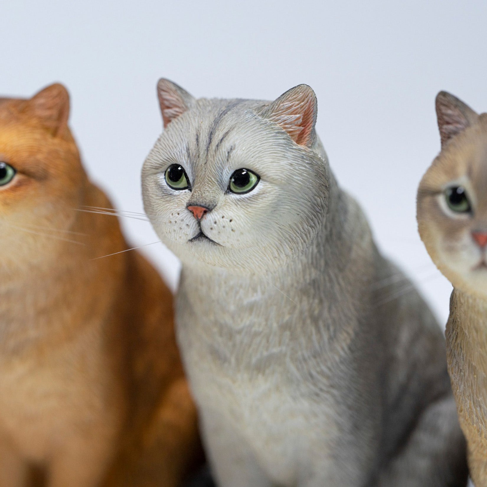 JXK Studio British Shorthair Cat Model