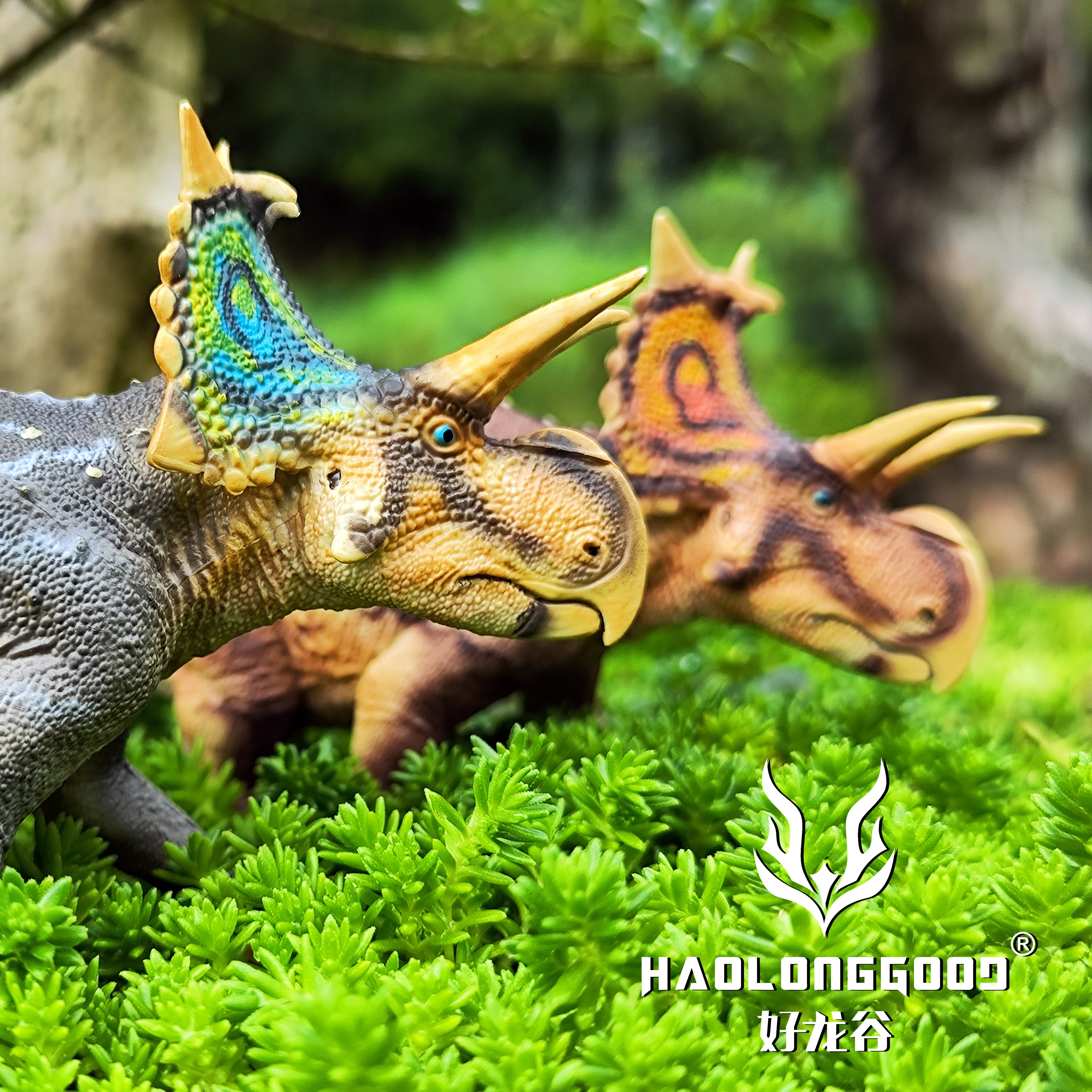 HAOLONGGOOD 1:35 Scale Xenoceratops Model