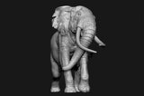 De CLAY Studio African Elephant battling bulls Statue