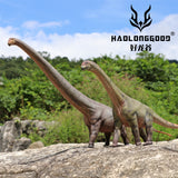 HAOLONGGOOD 1:35 Scale Camarasaurus Model