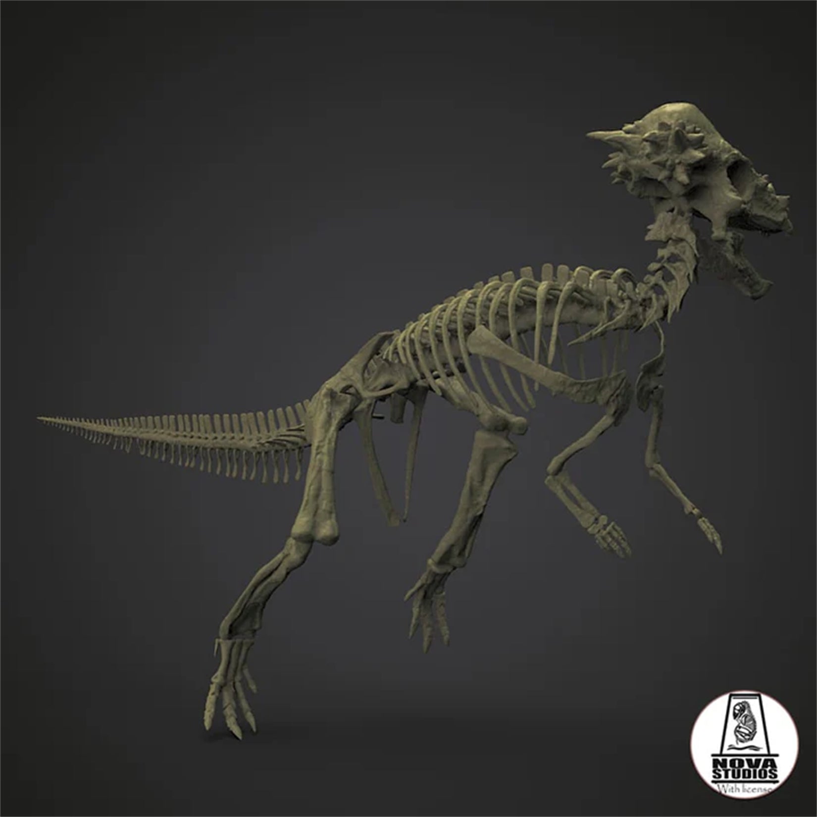 Nova Studio 1/8 Scale Pachycephalosaurus wyomingensis Skeleton Model
