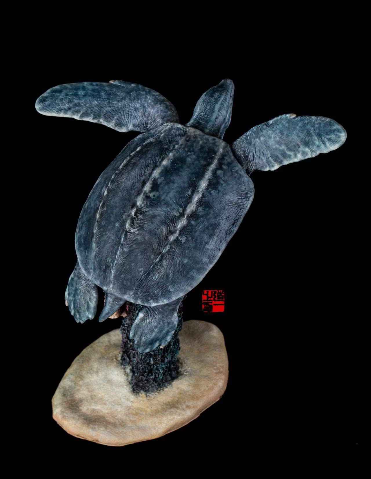 Cen DaoYi Studio 1:20 Scale Archelon ischyros Model