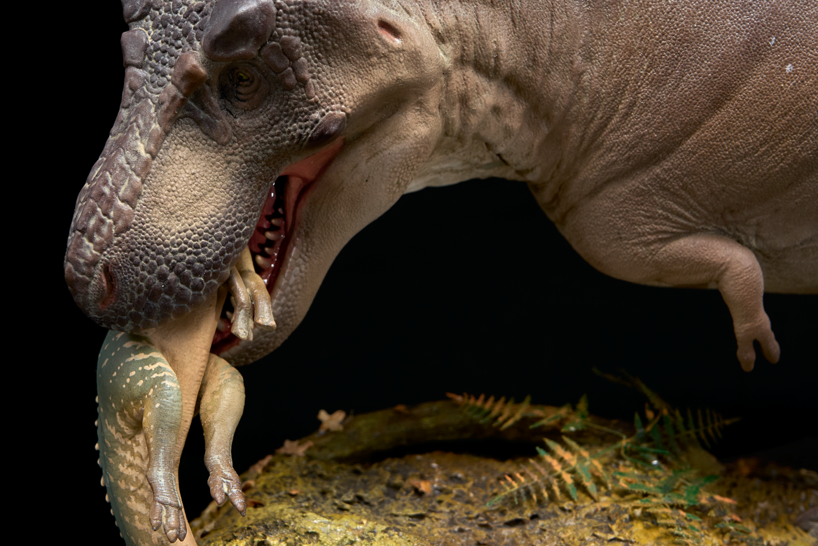 De CLAY Studio T. rex and Edmontosaurus Model
