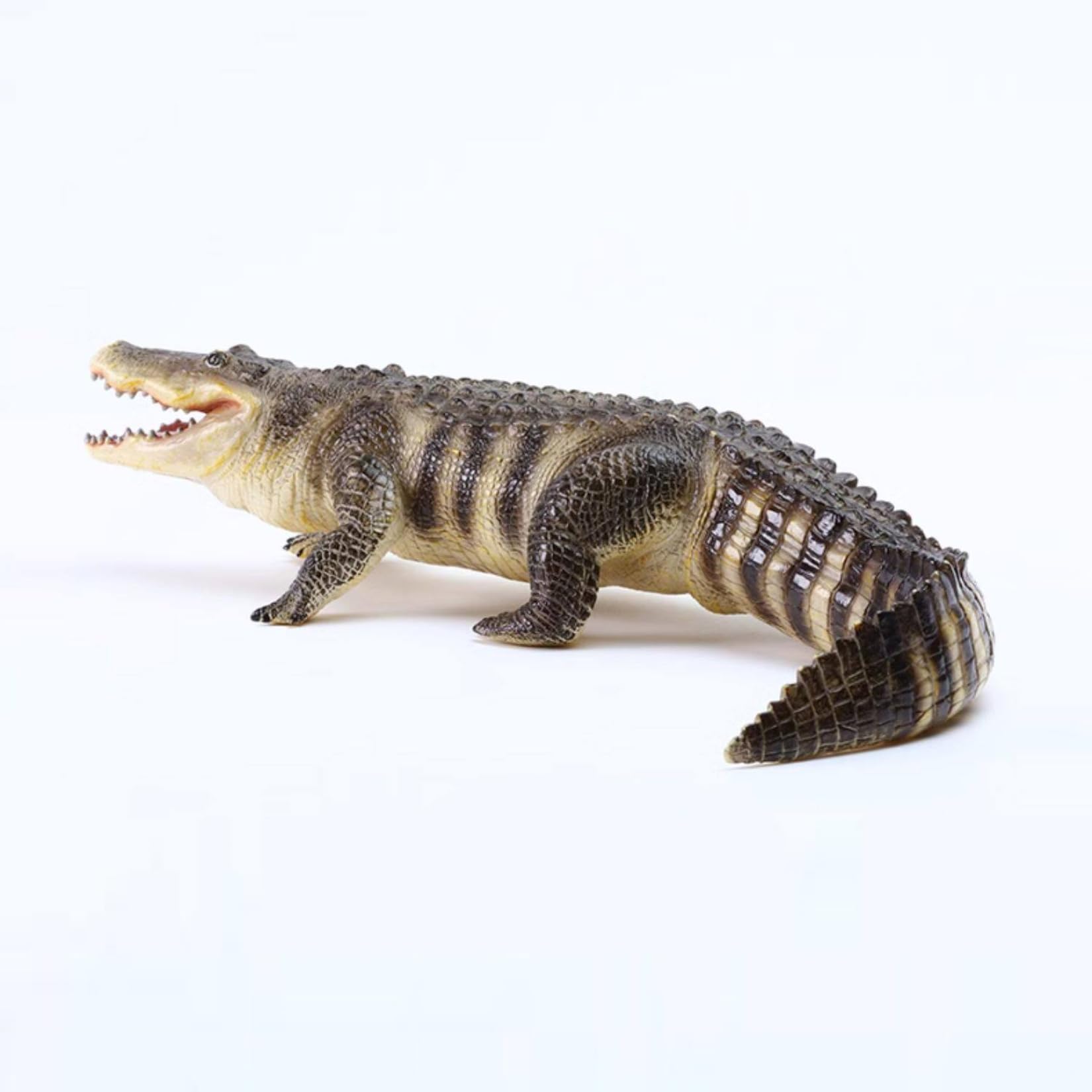 Recur American Alligator Model Collector