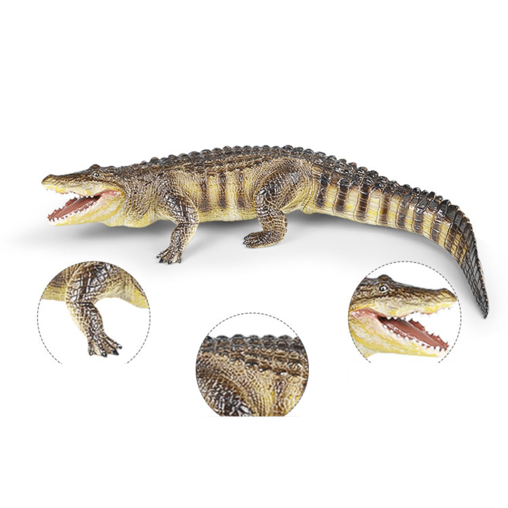 Recur American Alligator Model Collector