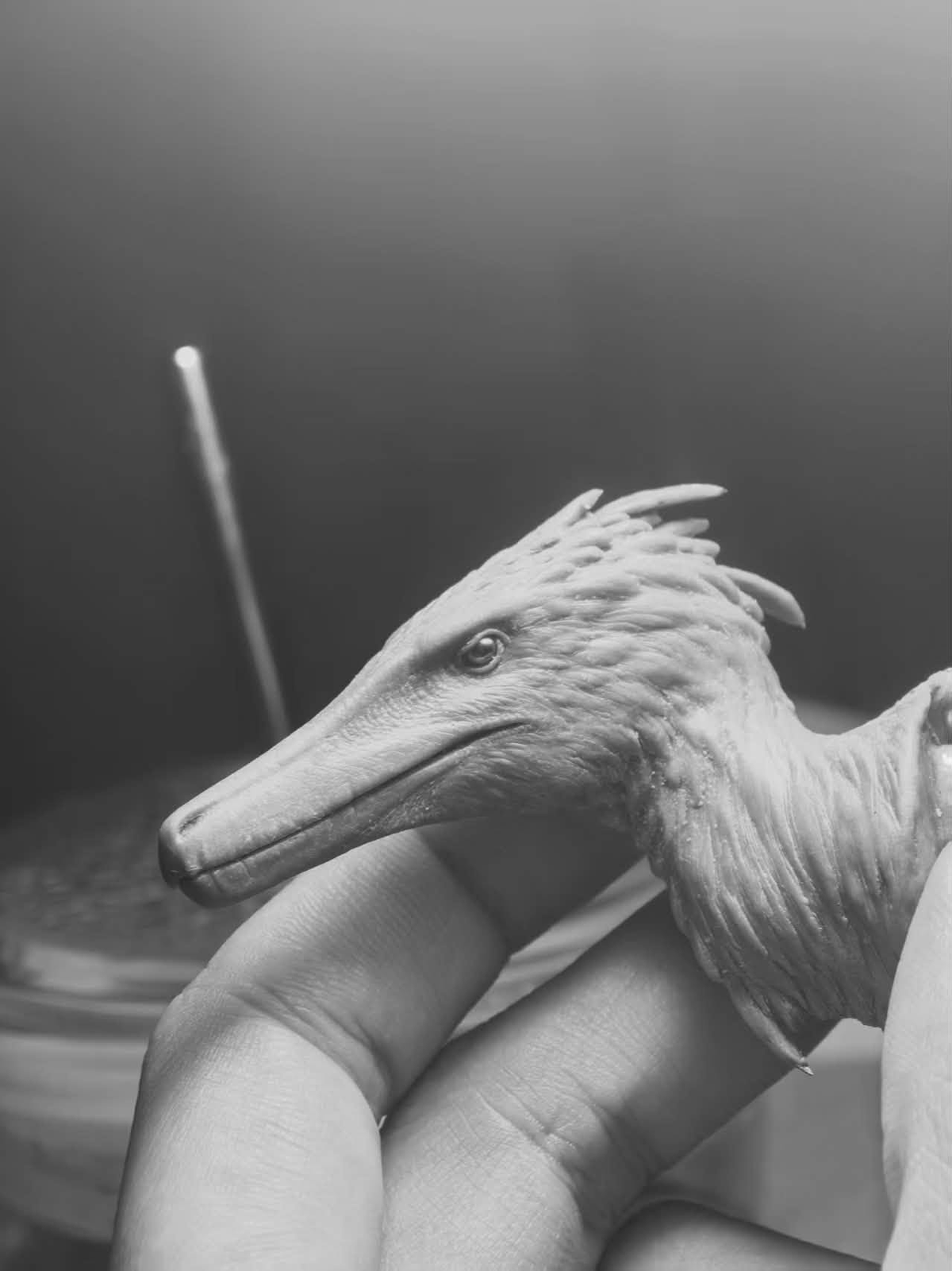 MK Studio 1:20 Scale Austroraptor Model