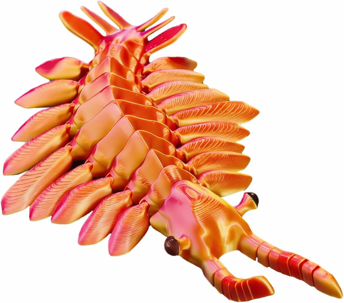 3D Printed Articulated Anomalocaris Prehistoric Creature Model