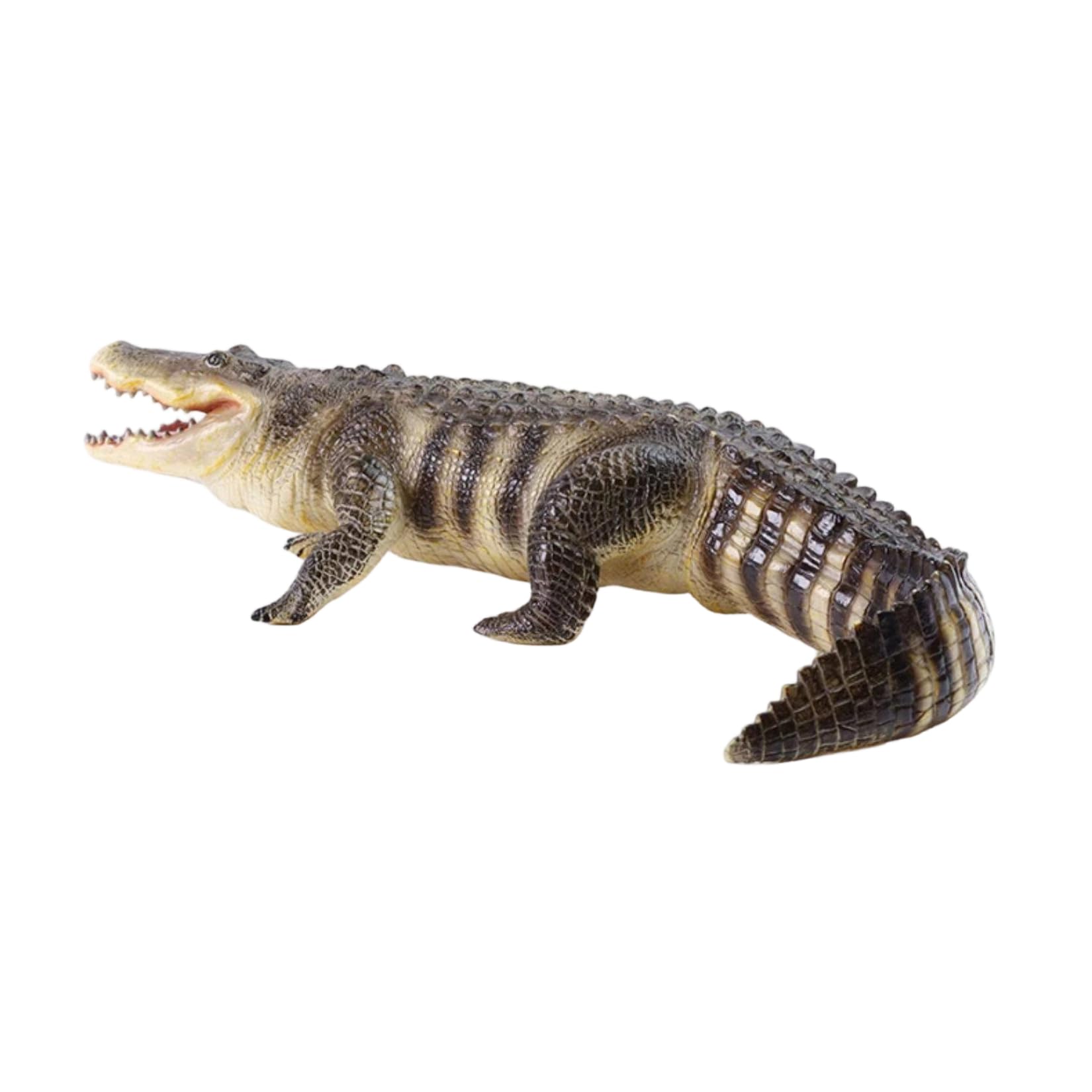 Recur American Alligator Model Collector