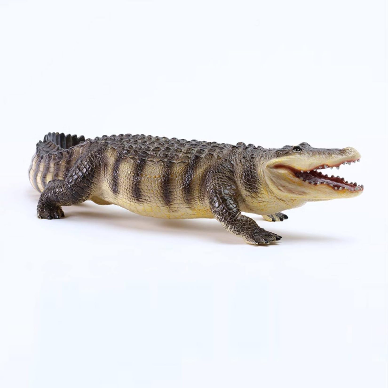 Recur American Alligator Model Collector