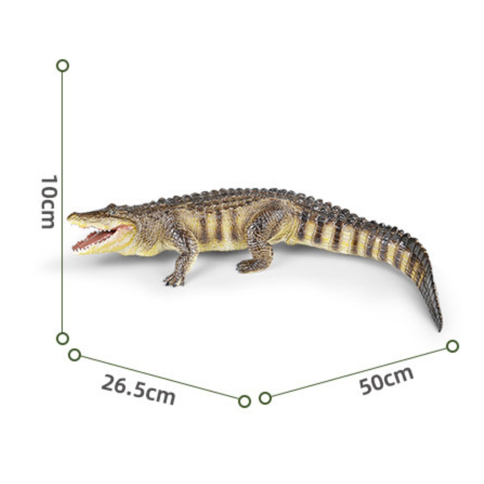 Recur American Alligator Model Collector