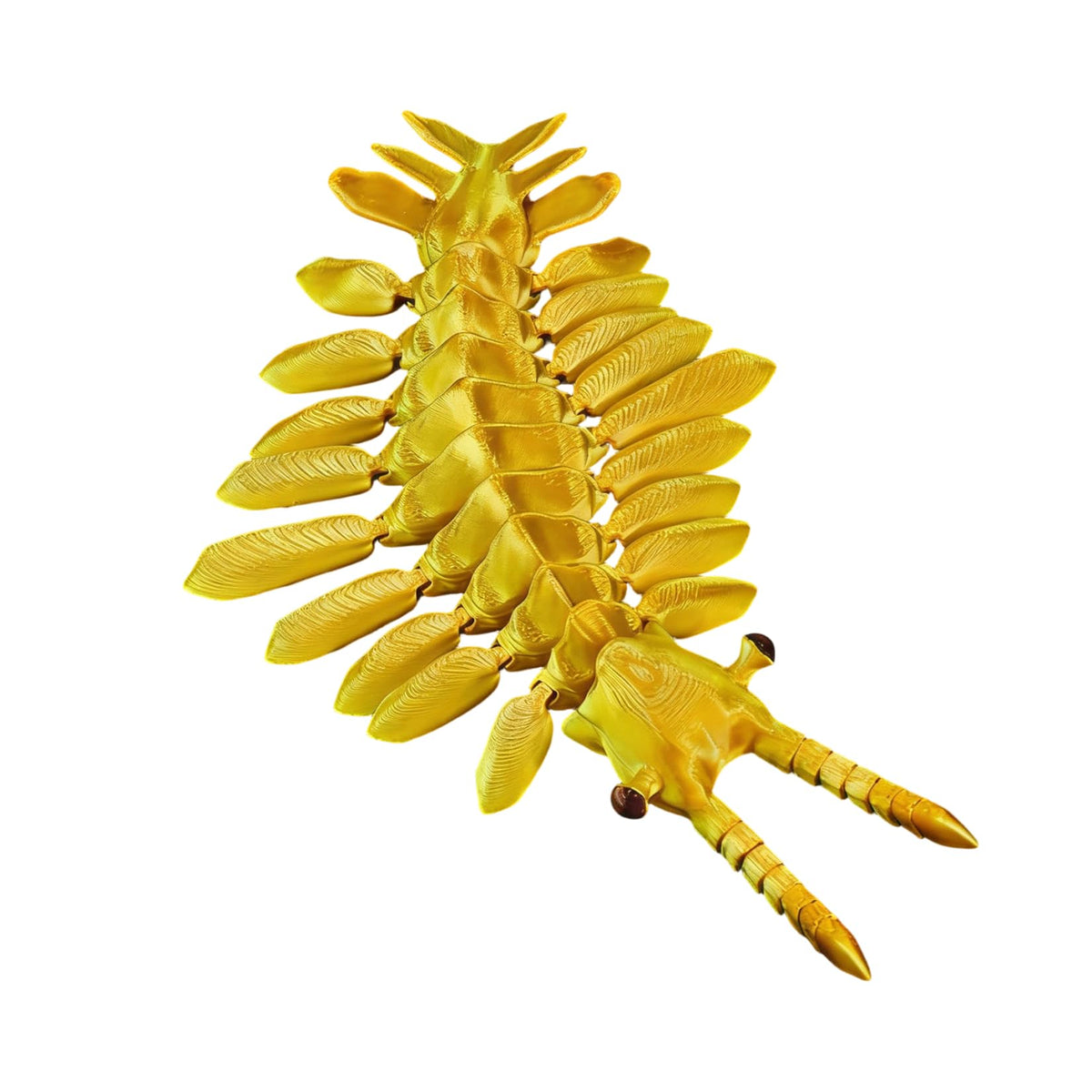 3D Printed Articulated Anomalocaris Prehistoric Creature Model