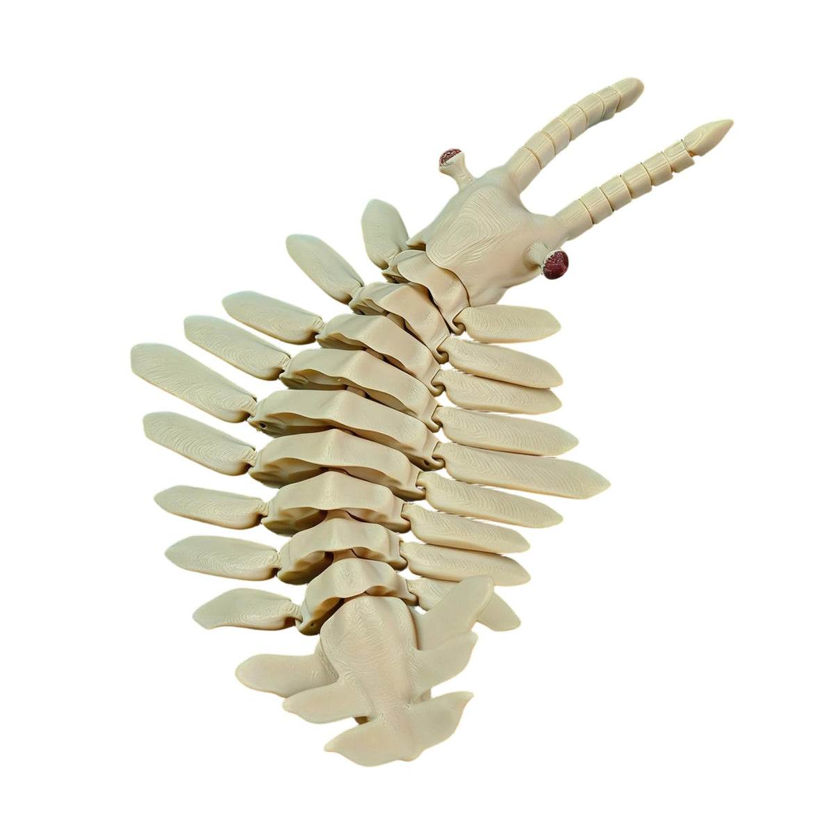 3D Printed Articulated Anomalocaris Prehistoric Creature Model