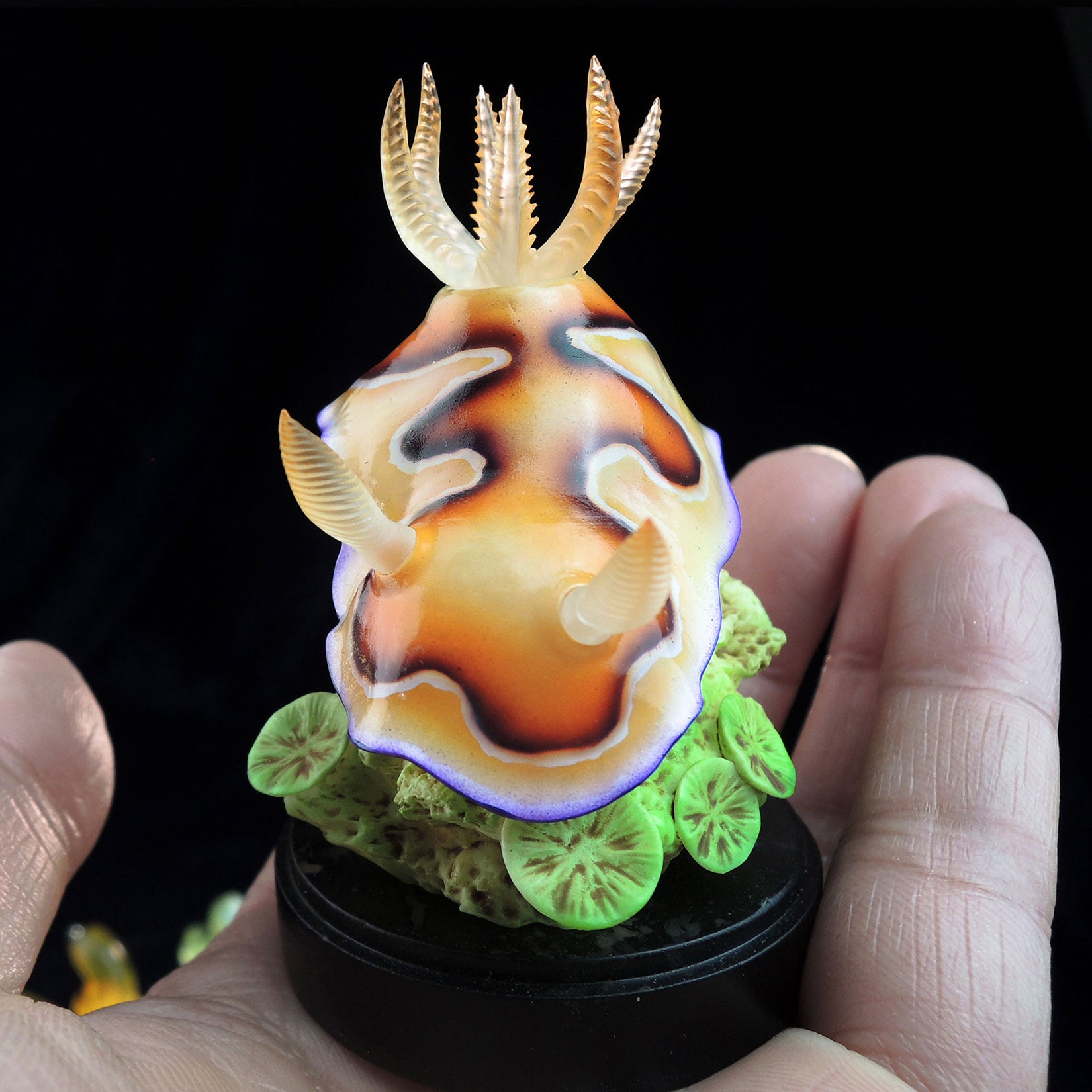 Sea Sprite 03 Series Model