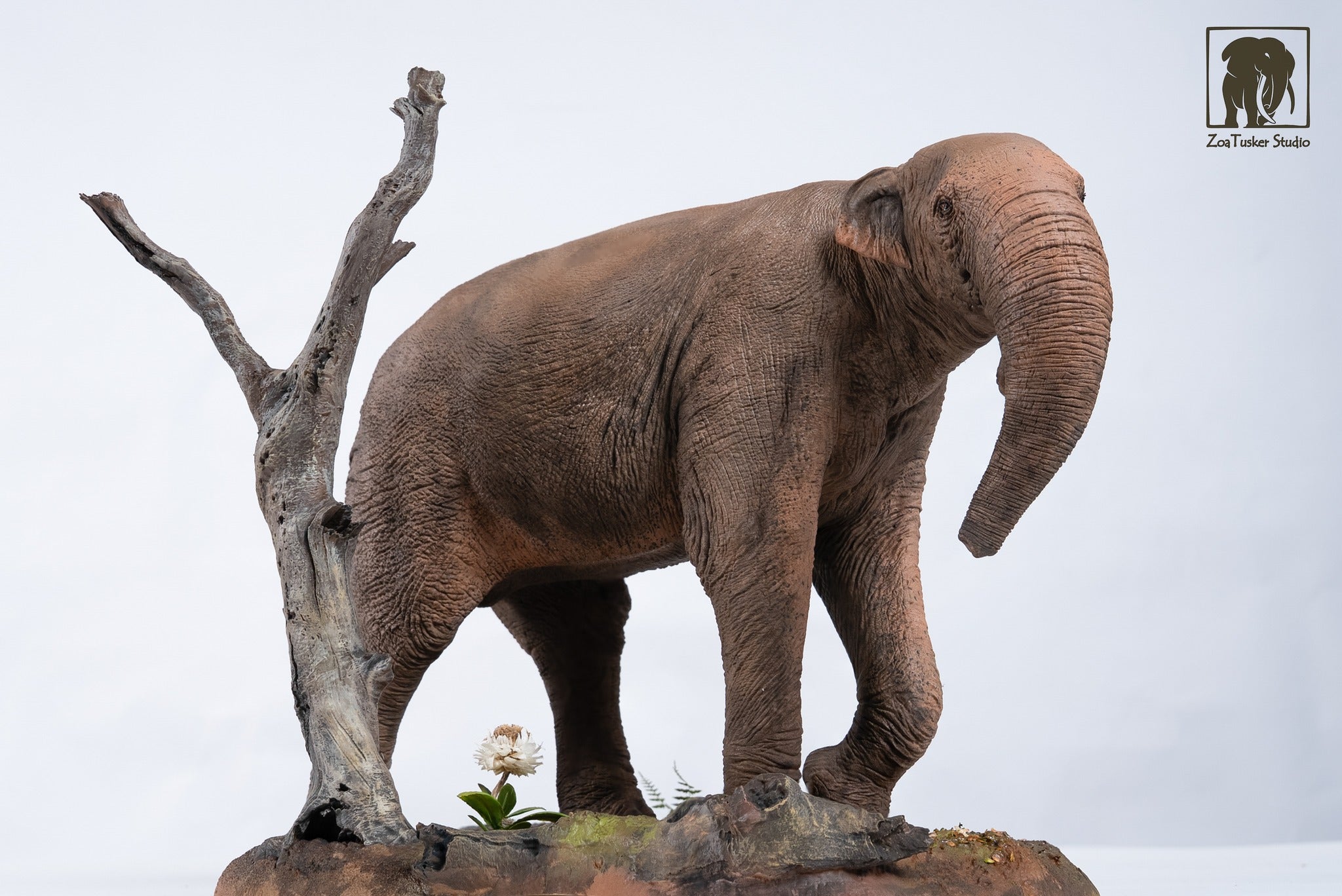 ZoaTusker Studio Deinotherium giganteum Model