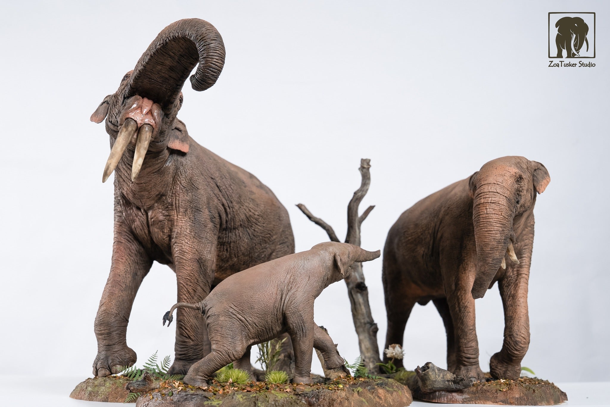 ZoaTusker Studio Deinotherium giganteum Model