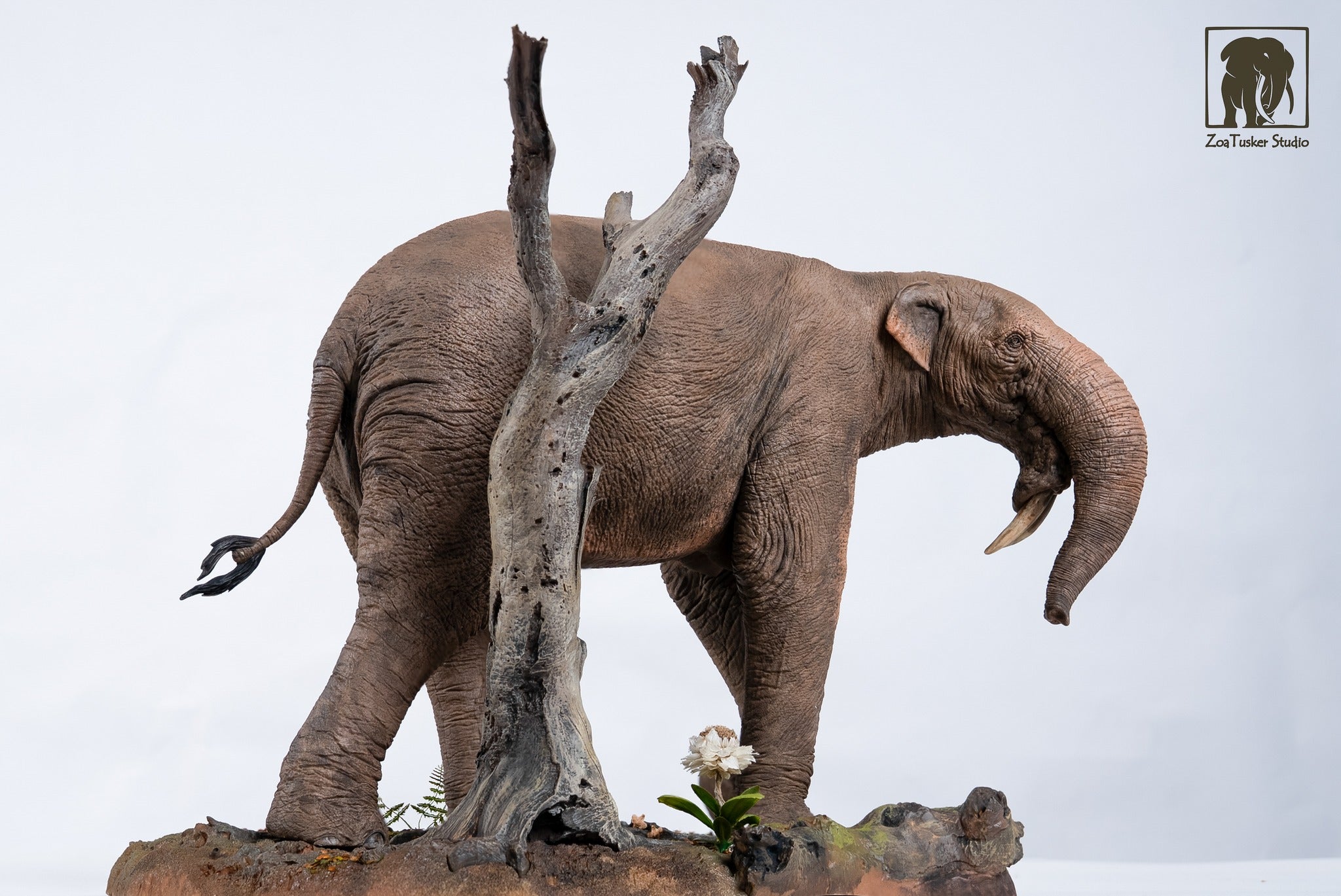 ZoaTusker Studio Deinotherium giganteum Model