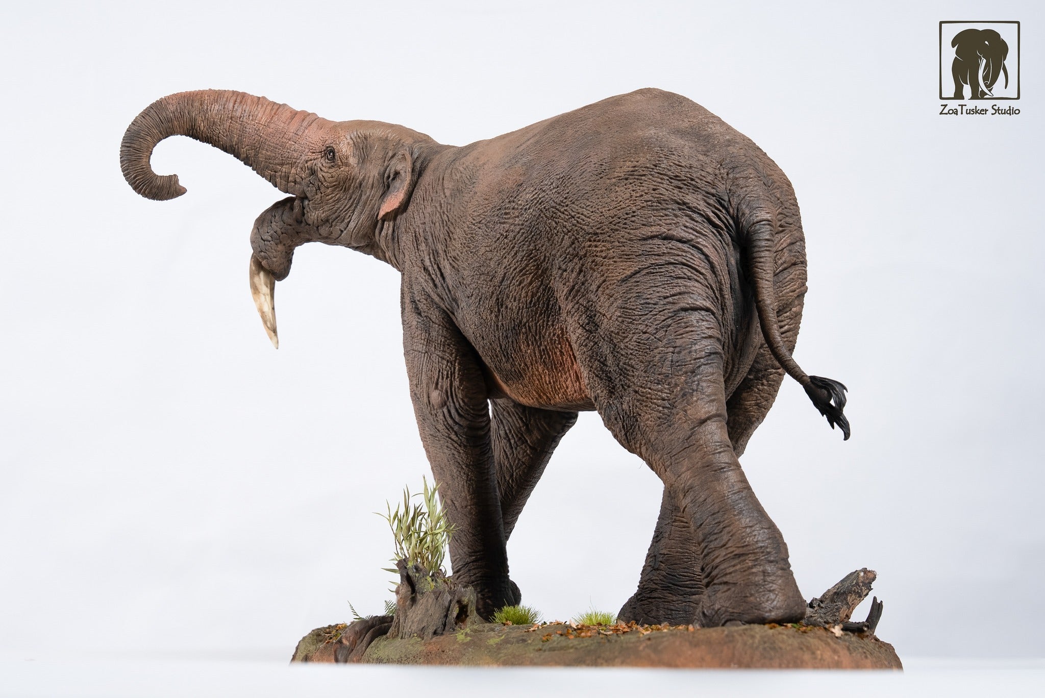 ZoaTusker Studio Deinotherium giganteum Model