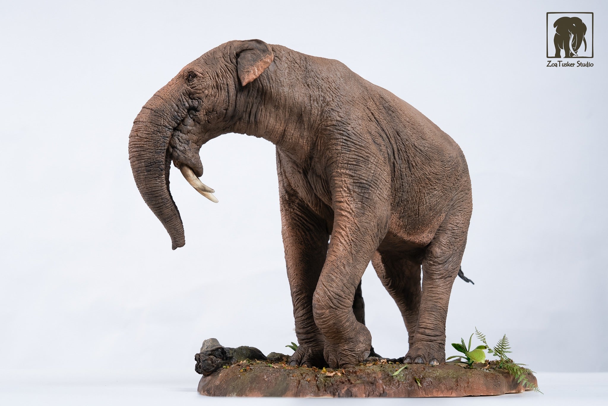 ZoaTusker Studio Deinotherium giganteum Model