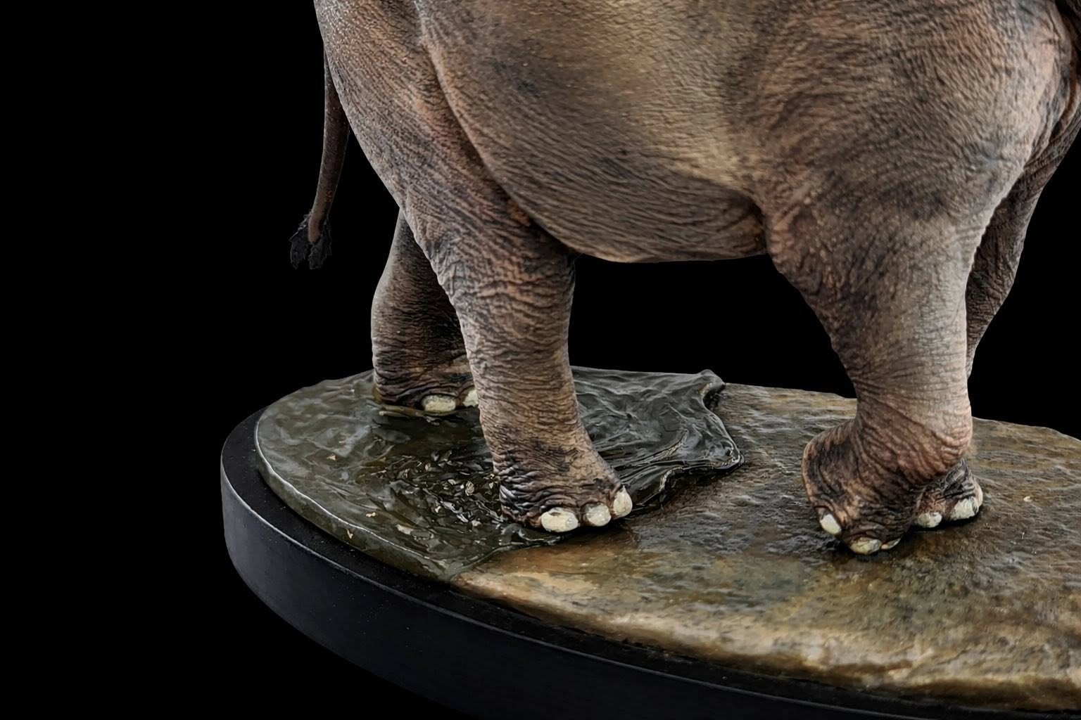 The Crocs Man Studio Asian Elephant Model