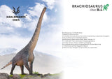 HAOLONGGOOD 1:35 Scale Brachiosaurus Model