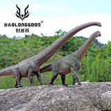 HAOLONGGOOD 1:35 Scale Camarasaurus Model