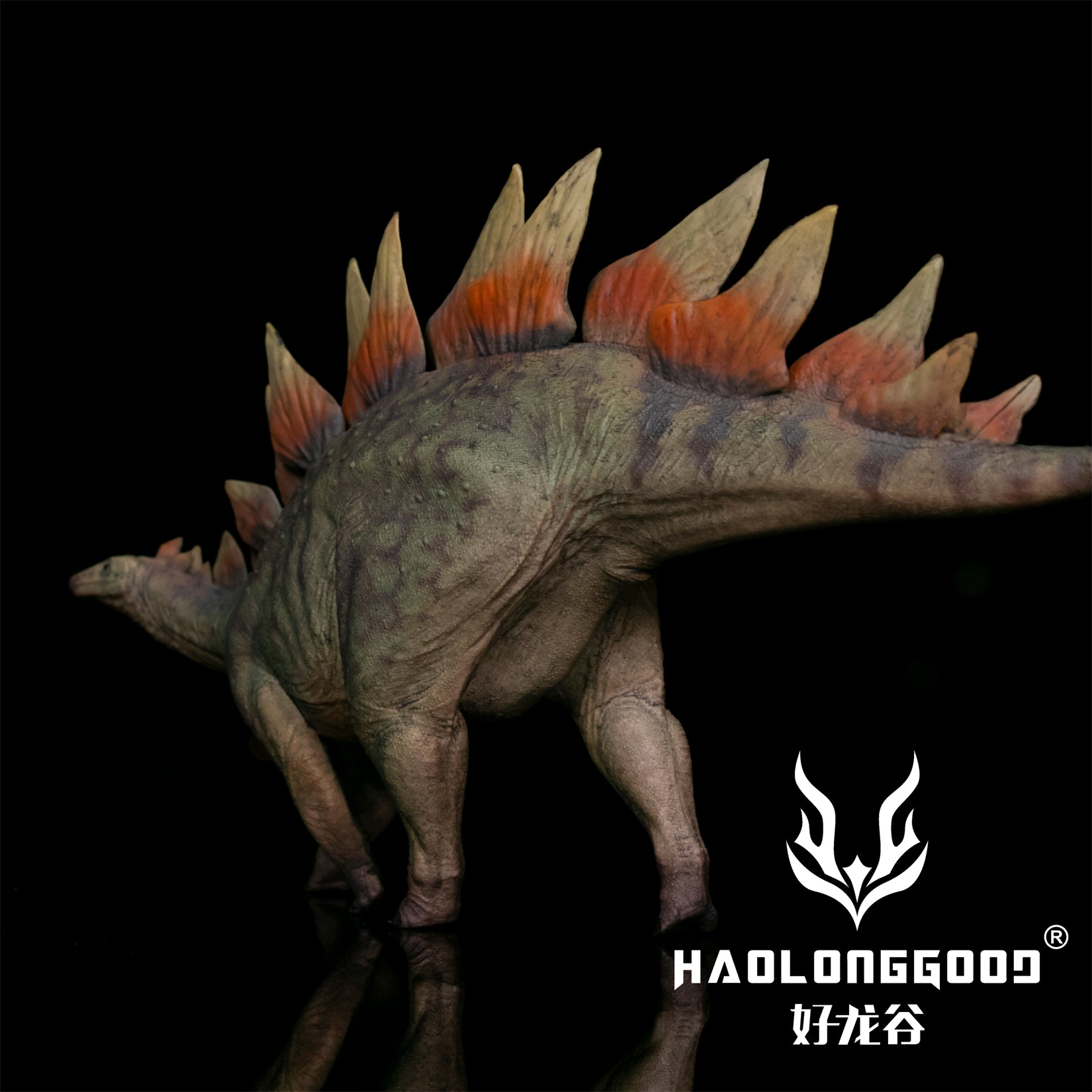 HAOLONGGOOD 1:35 Scale Stegosaurus Model