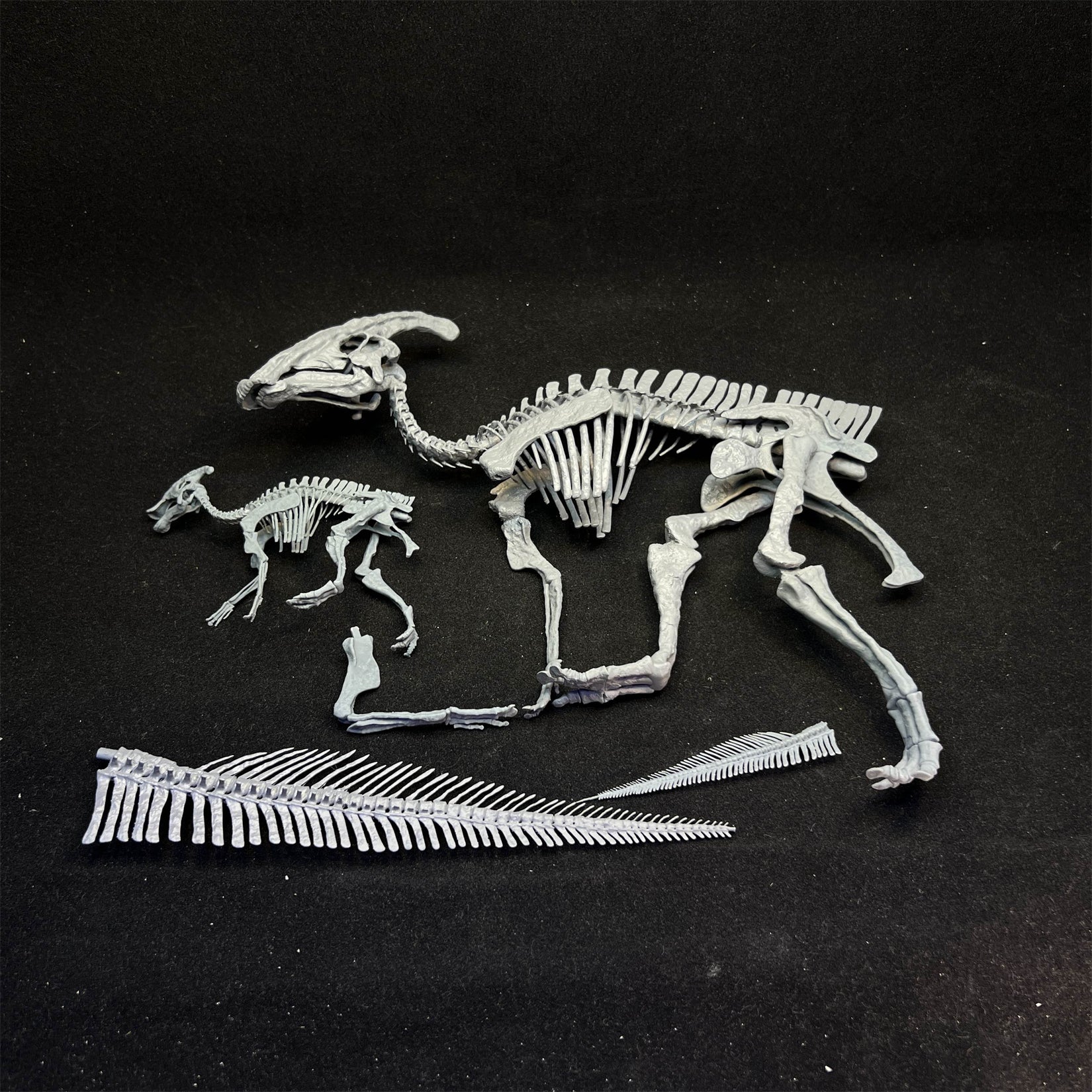 Nova Studio 1/15 Scale Parasaurolophus walkeri Skeleton Model