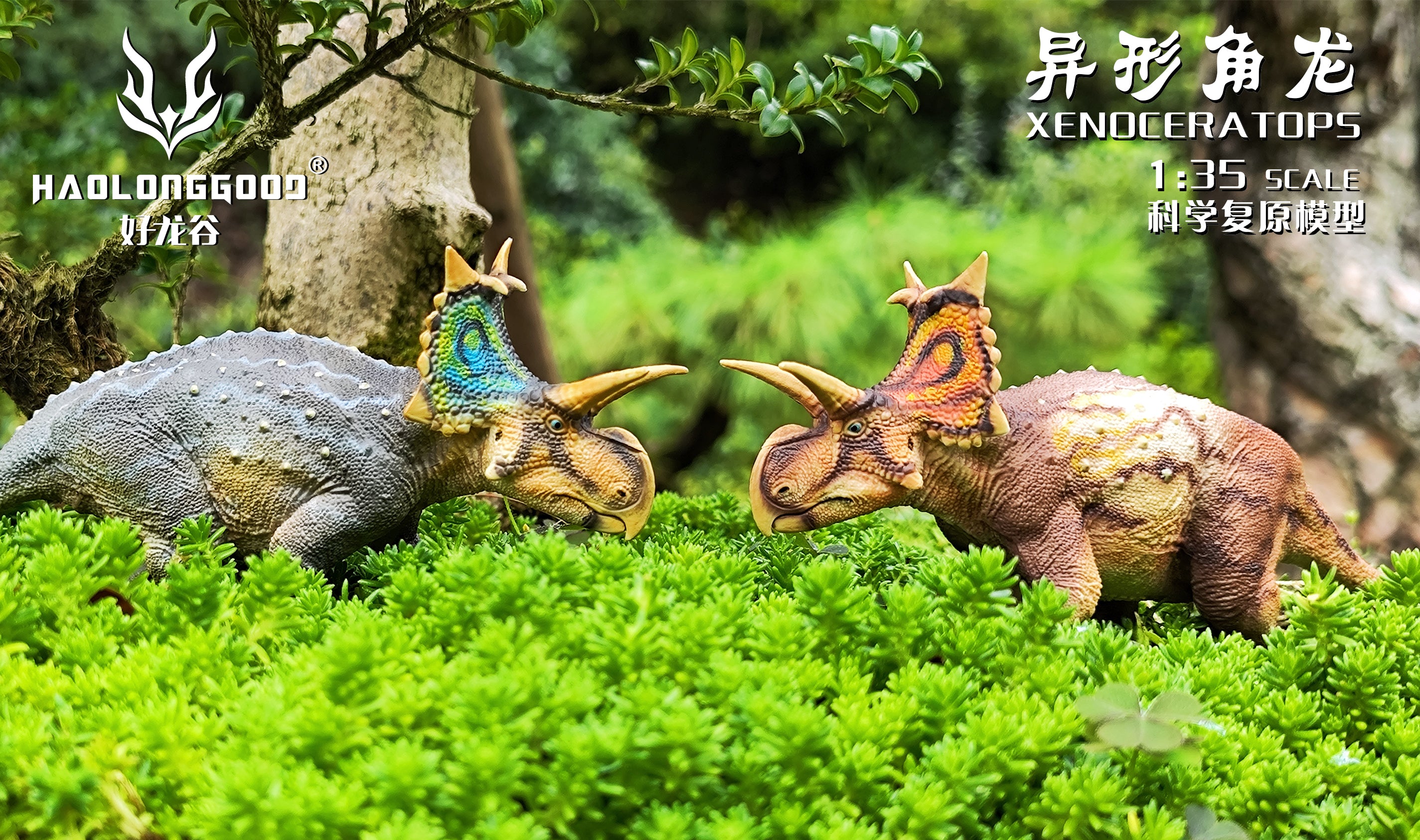 HAOLONGGOOD 1:35 Scale Xenoceratops Model