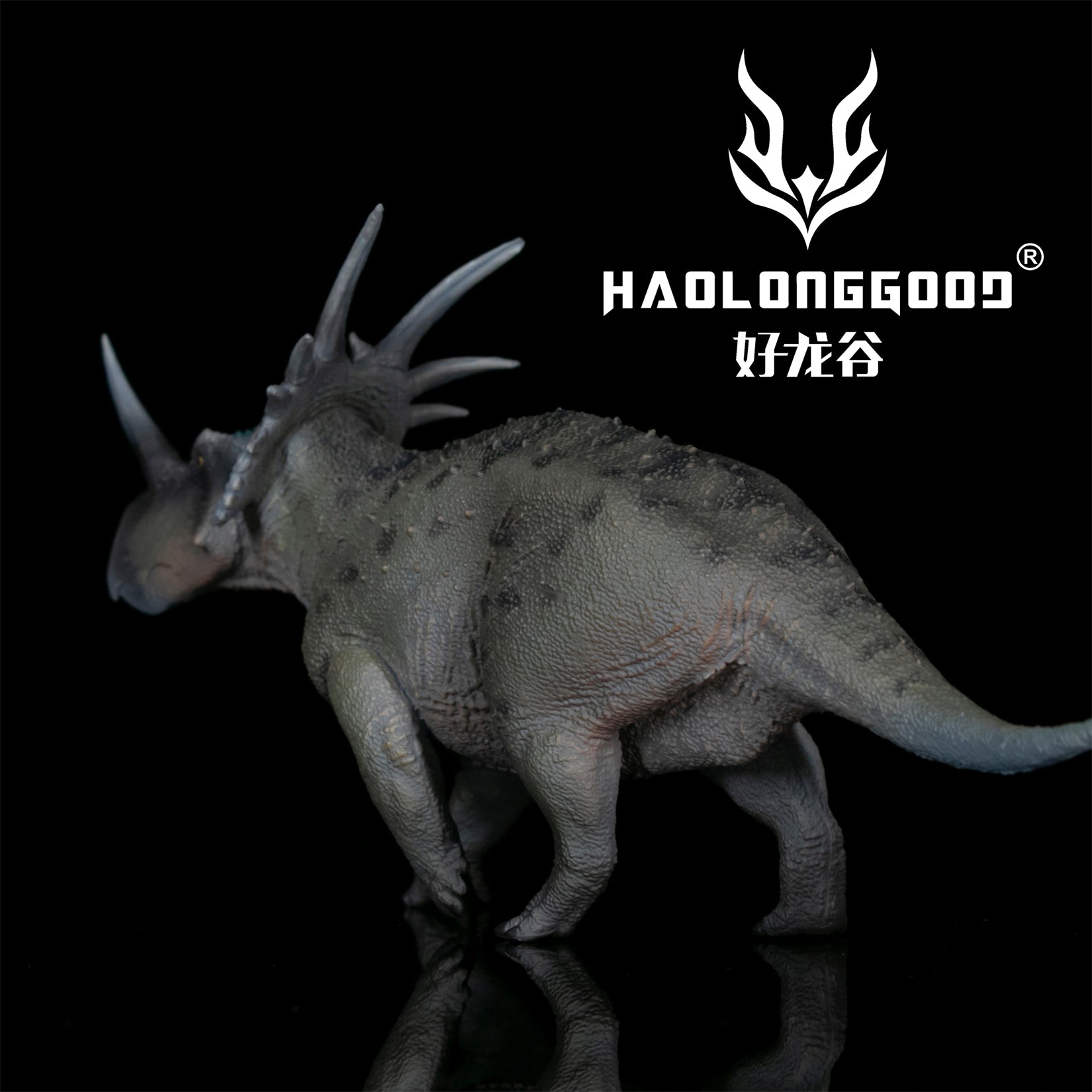 HAOLONGGOOD 1:35 Scale Styracosaurus Model
